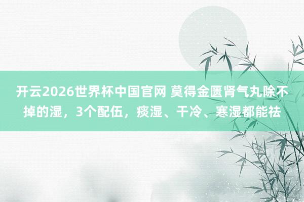开云2026世界杯中国官网 莫得金匮肾气丸除不掉的湿，3个配伍，痰湿、干冷、寒湿都能祛
