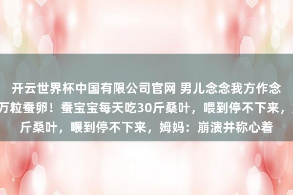 开云世界杯中国有限公司官网 男儿念念我方作念蚕丝被，全家网购1万粒蚕卵！蚕宝宝每天吃30斤桑叶，喂到停不下来，姆妈：崩溃并称心着