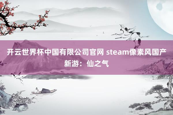 开云世界杯中国有限公司官网 steam像素风国产新游：仙之气