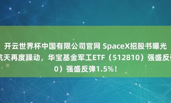 开云世界杯中国有限公司官网 SpaceX招股书曝光！交易航天再度躁动，华宝基金军工ETF（512810）强盛反弹1.5%！