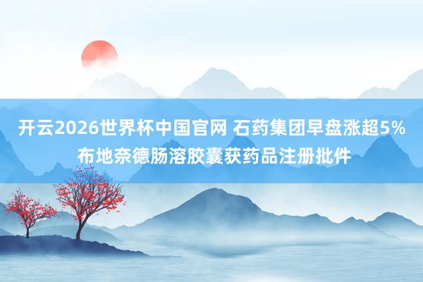 开云2026世界杯中国官网 石药集团早盘涨超5% 布地奈德肠溶胶囊获药品注册批件