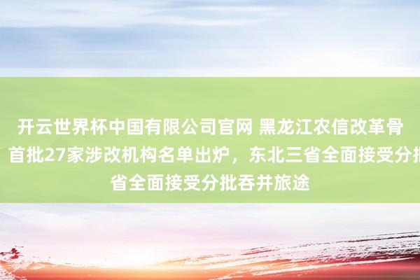 开云世界杯中国有限公司官网 黑龙江农信改革骨子性启动：首批27家涉改机构名单出炉，东北三省全面接受分批吞并旅途