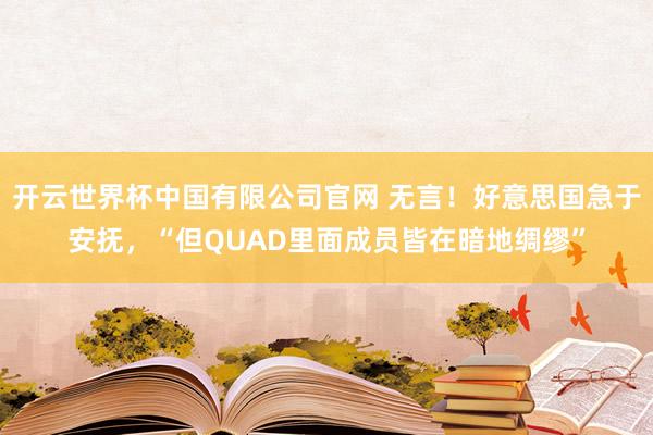 开云世界杯中国有限公司官网 无言！好意思国急于安抚，“但QUAD里面成员皆在暗地绸缪”