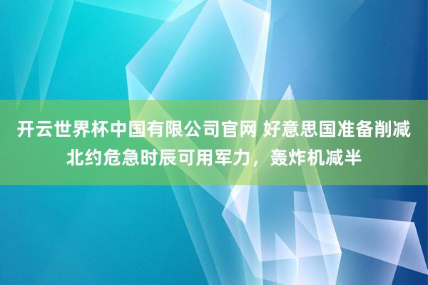 开云世界杯中国有限公司官网 好意思国准备削减北约危急时辰可用军力，轰炸机减半