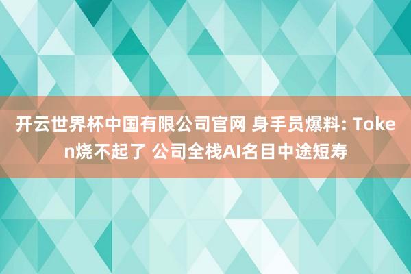 开云世界杯中国有限公司官网 身手员爆料: Token烧不起了 公司全栈AI名目中途短寿