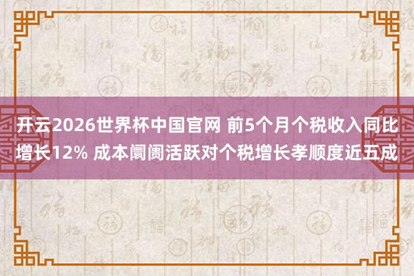 开云2026世界杯中国官网 前5个月个税收入同比增长12% 成本阛阓活跃对个税增长孝顺度近五成
