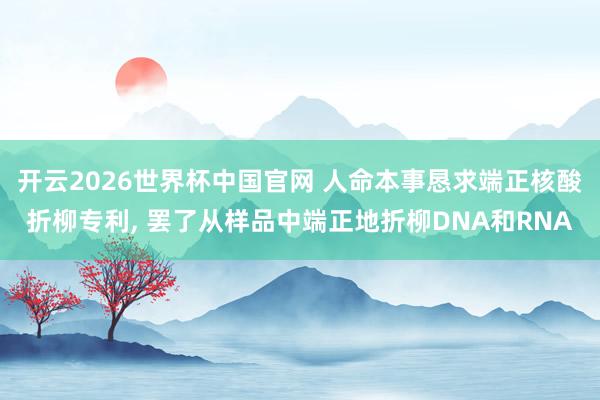 开云2026世界杯中国官网 人命本事恳求端正核酸折柳专利， 罢了从样品中端正地折柳DNA和RNA