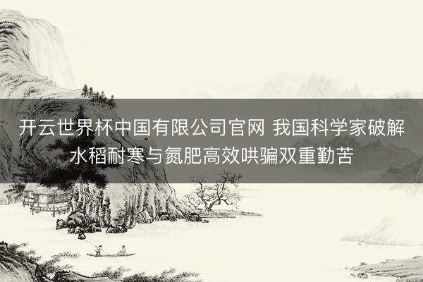开云世界杯中国有限公司官网 我国科学家破解水稻耐寒与氮肥高效哄骗双重勤苦